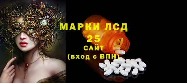 крисы Осинники