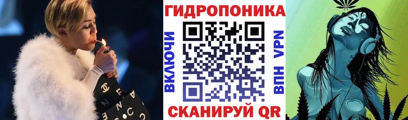 закладка  Сасово  Шишки марихуана марихуана 